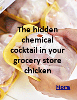Conventional chicken is often soaked in chemical baths, including chlorine solutions, to reduce bacterial contamination,  a practice banned in the European Union since 1997. Chlorine-washed chicken may absorb chemical residues through its porous muscle tissue, which raises safety concerns.